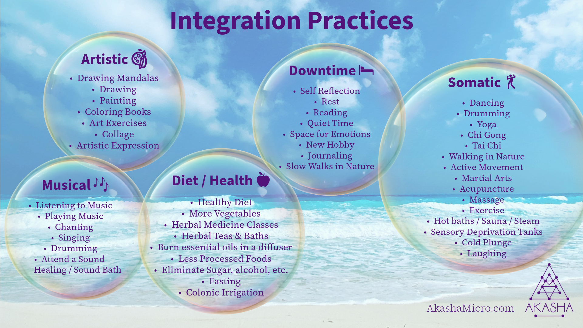 Integration Practices infographic